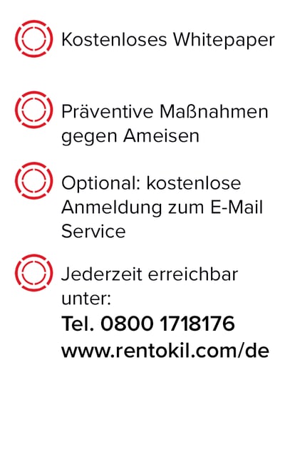 Ameisen Präv Side Kopie Ameisen Präv Side Kopie
