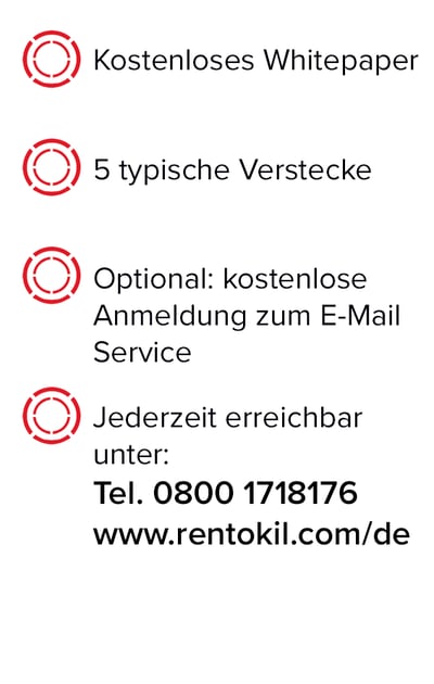Bettwanzen Side Kopie Bettwanzen Side Kopie